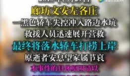 文安爆料视频最新,最新事件背后惊人真相